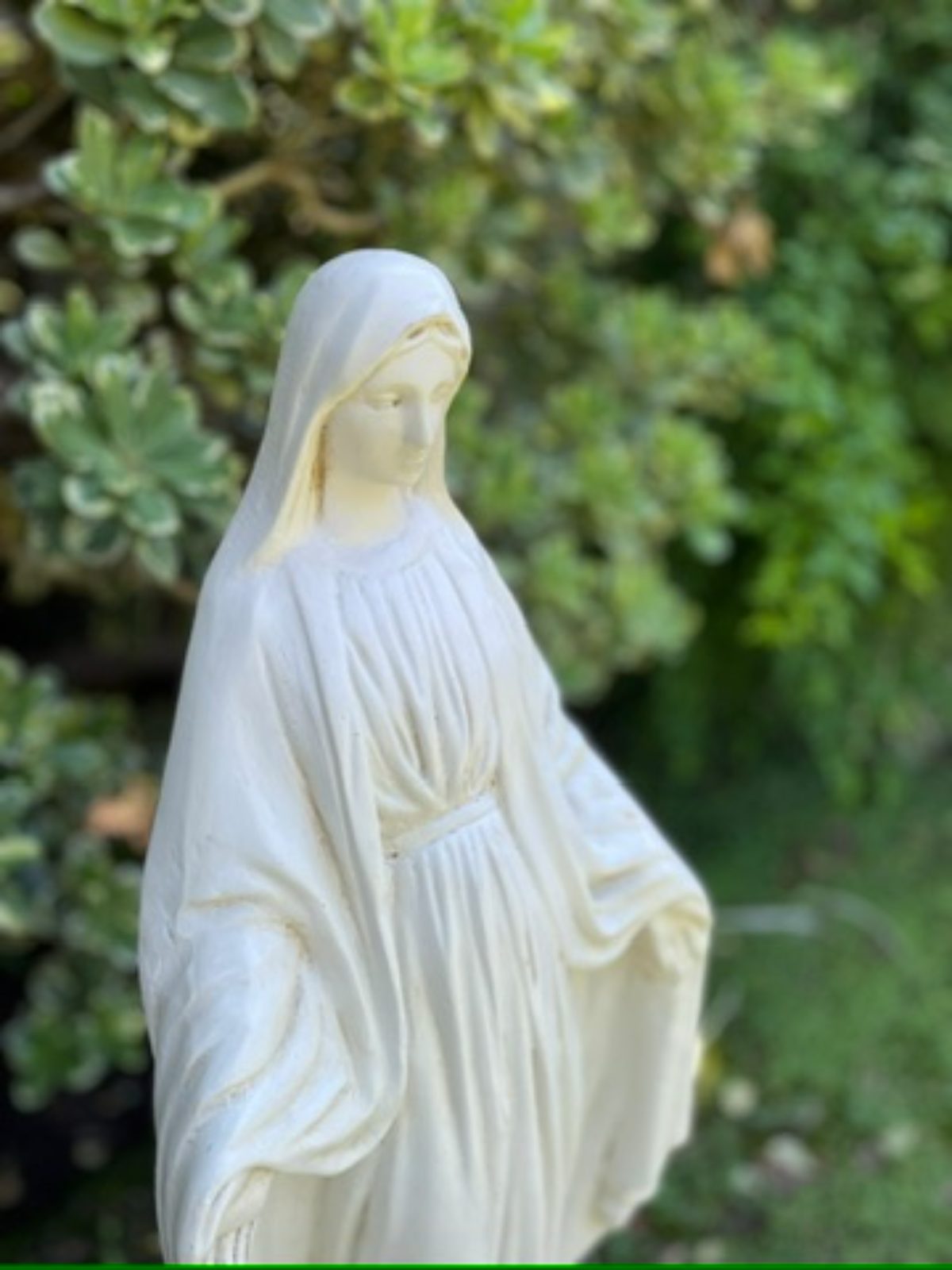 Virgen Milagrosa Grande