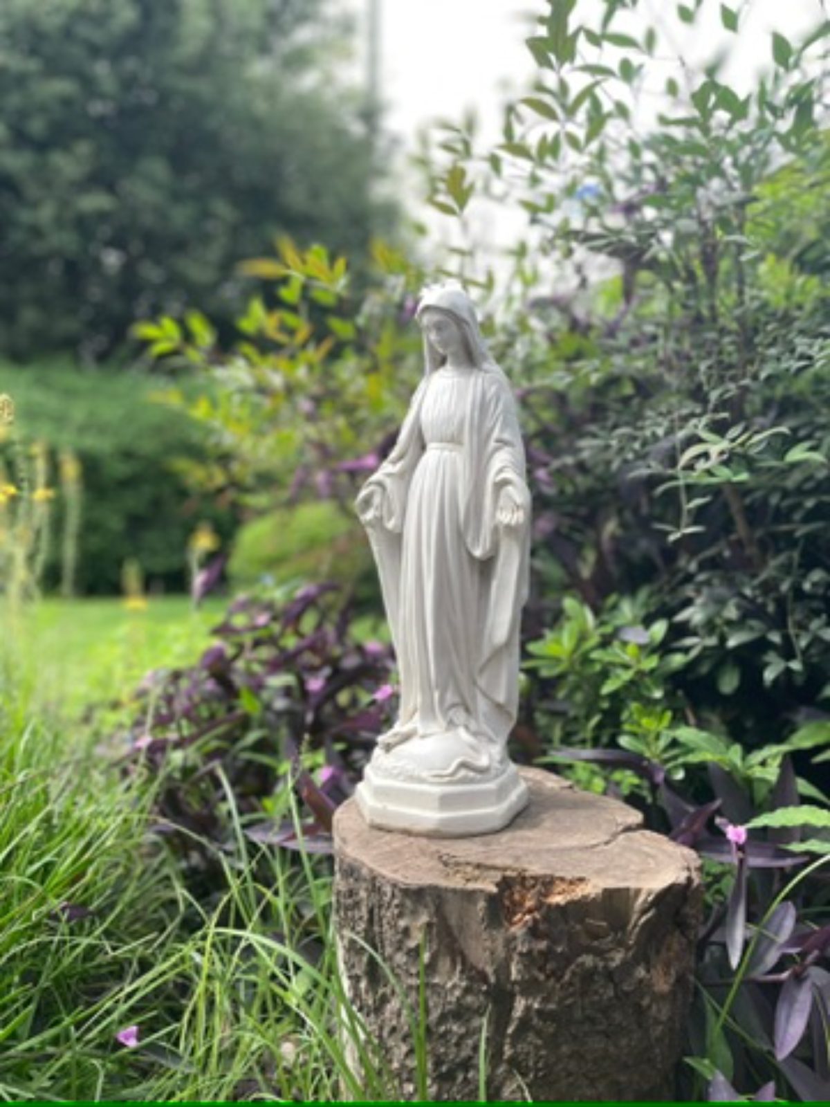 Virgen Milagrosa Chica